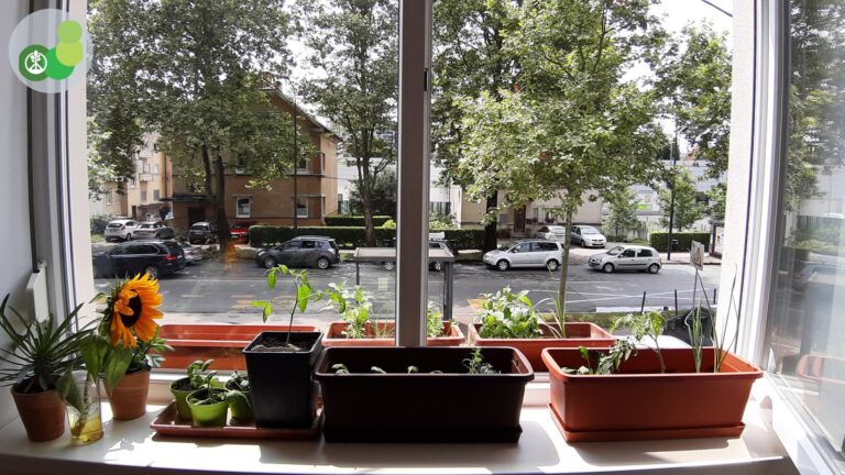 The DIY Balcony Garden